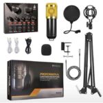 Efokeke | Universal Professional Condenser Microphone – Black