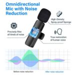 Efokeke | Portable Wireless Lavalier Microphone MINI Mic Live For Type C