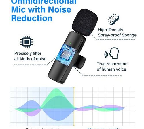Efokeke | Portable Wireless Lavalier Microphone MINI Mic Live For Type C