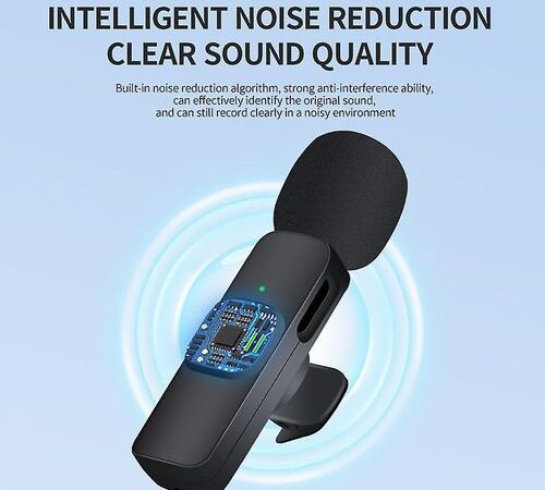 Efokeke | Portable Wireless Lavalier Microphone MINI Mic Live For Type C